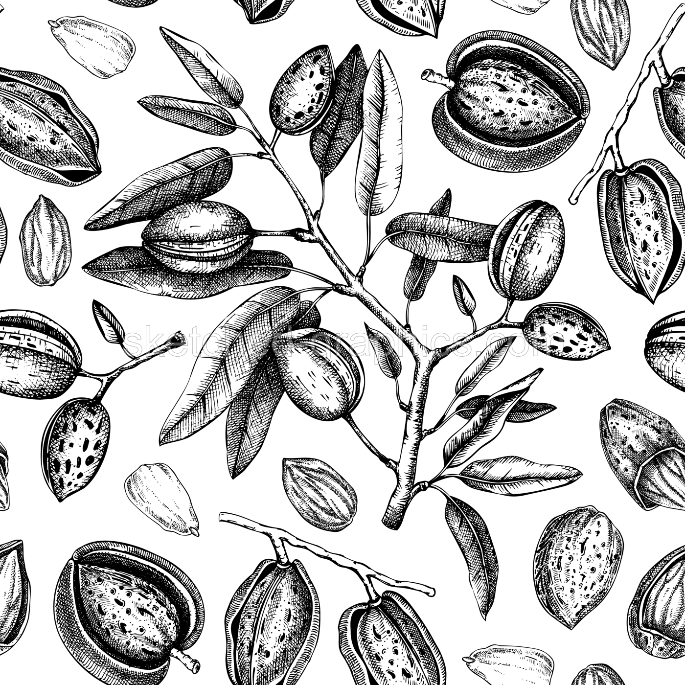 Almond seamless pattern. Healthy food background. Almond nut tree sketches. Hand-drawn vector illustration. NOT AI generated Illustration